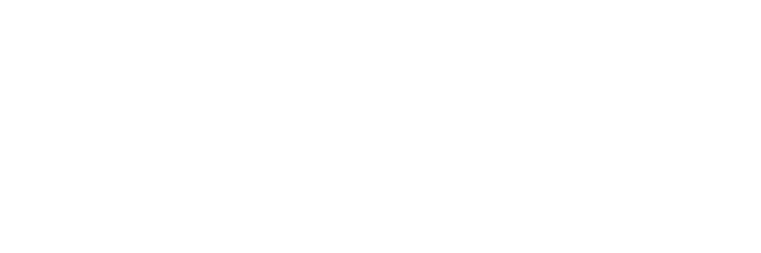 CS55 Logo