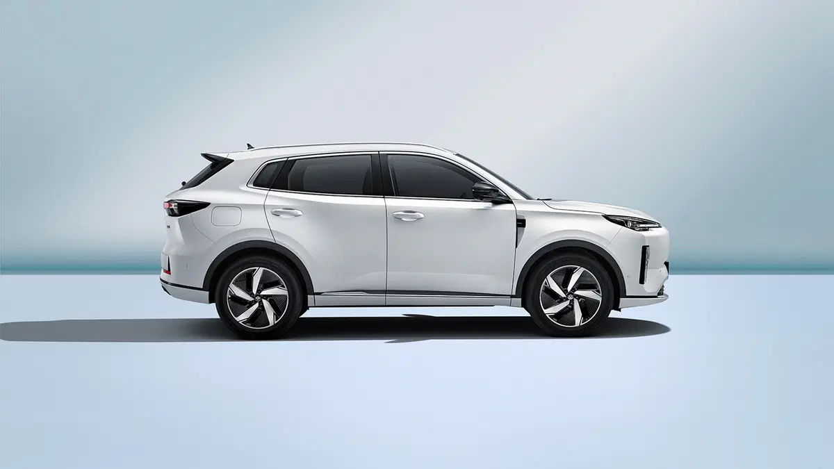 Detalle frontal CS55