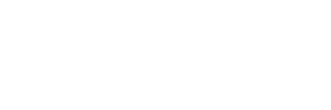 CS55 Plus PHEV Logo